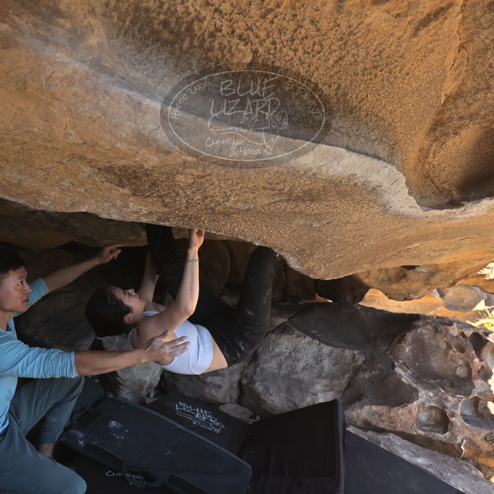 

Filename: SRM_20251110_1314400.jpg
Aperture: f/5.6
Shutter Speed: 1/500
Body: Canon EOS R6
Lens: Canon EF 16-35mm f/2.8 L