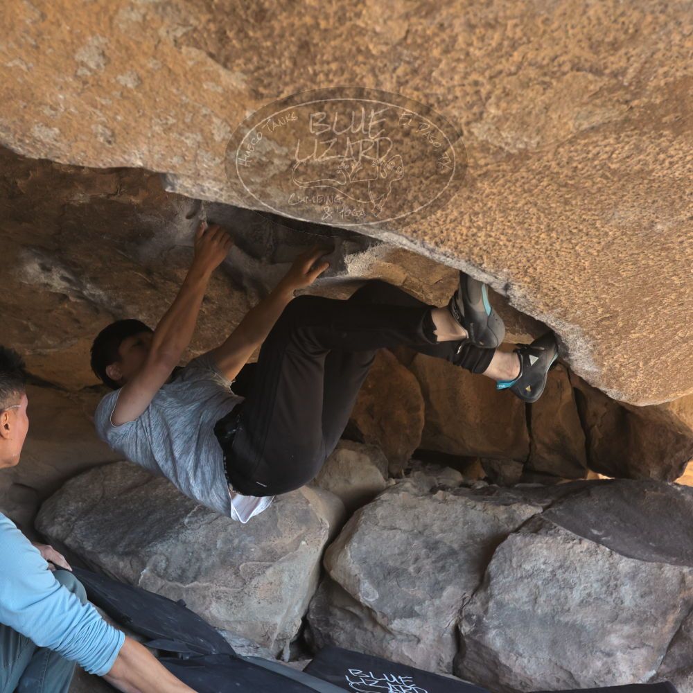 

Filename: SRM_20251110_1325331.jpg
Aperture: f/5.6
Shutter Speed: 1/500
Body: Canon EOS R6
Lens: Canon EF 16-35mm f/2.8 L