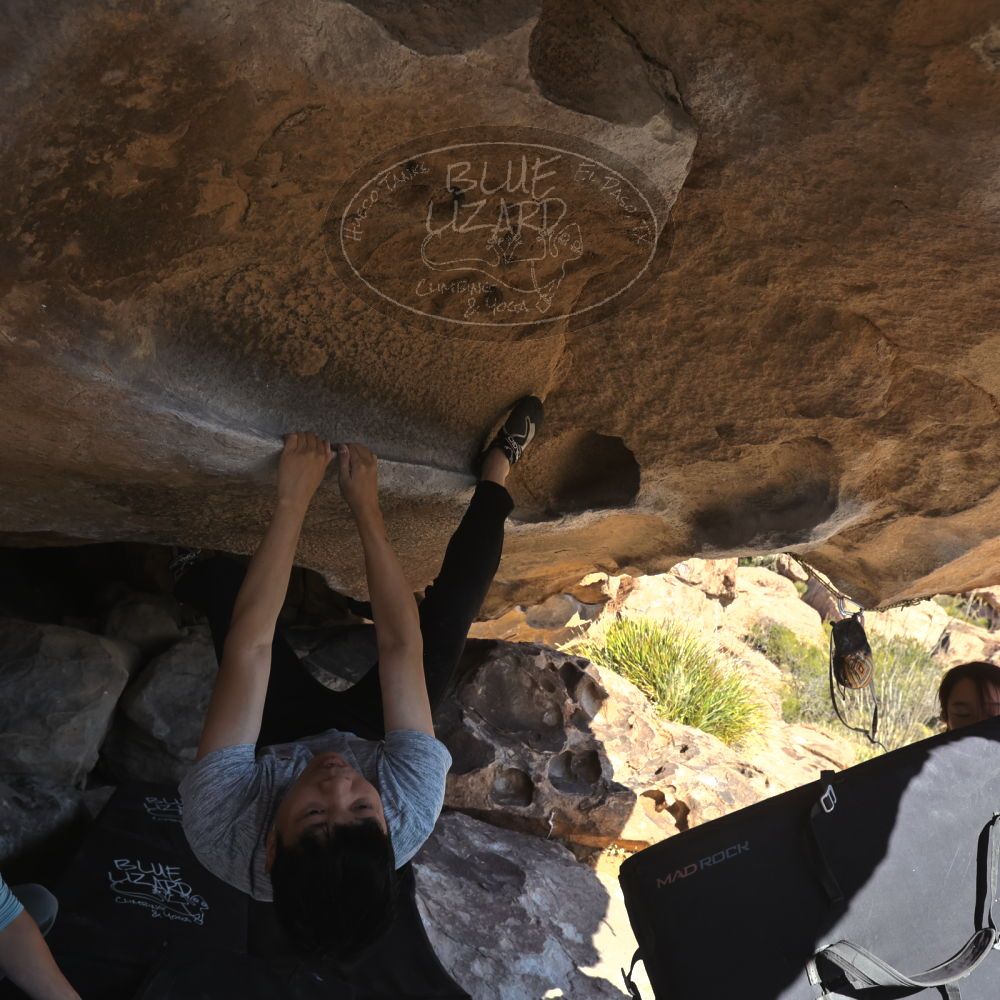 

Filename: SRM_20251110_1325570.jpg
Aperture: f/5.6
Shutter Speed: 1/500
Body: Canon EOS R6
Lens: Canon EF 16-35mm f/2.8 L