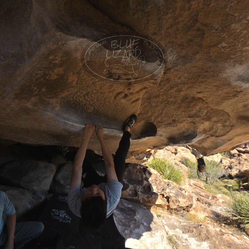 

Filename: SRM_20251110_1326010.jpg
Aperture: f/5.6
Shutter Speed: 1/500
Body: Canon EOS R6
Lens: Canon EF 16-35mm f/2.8 L