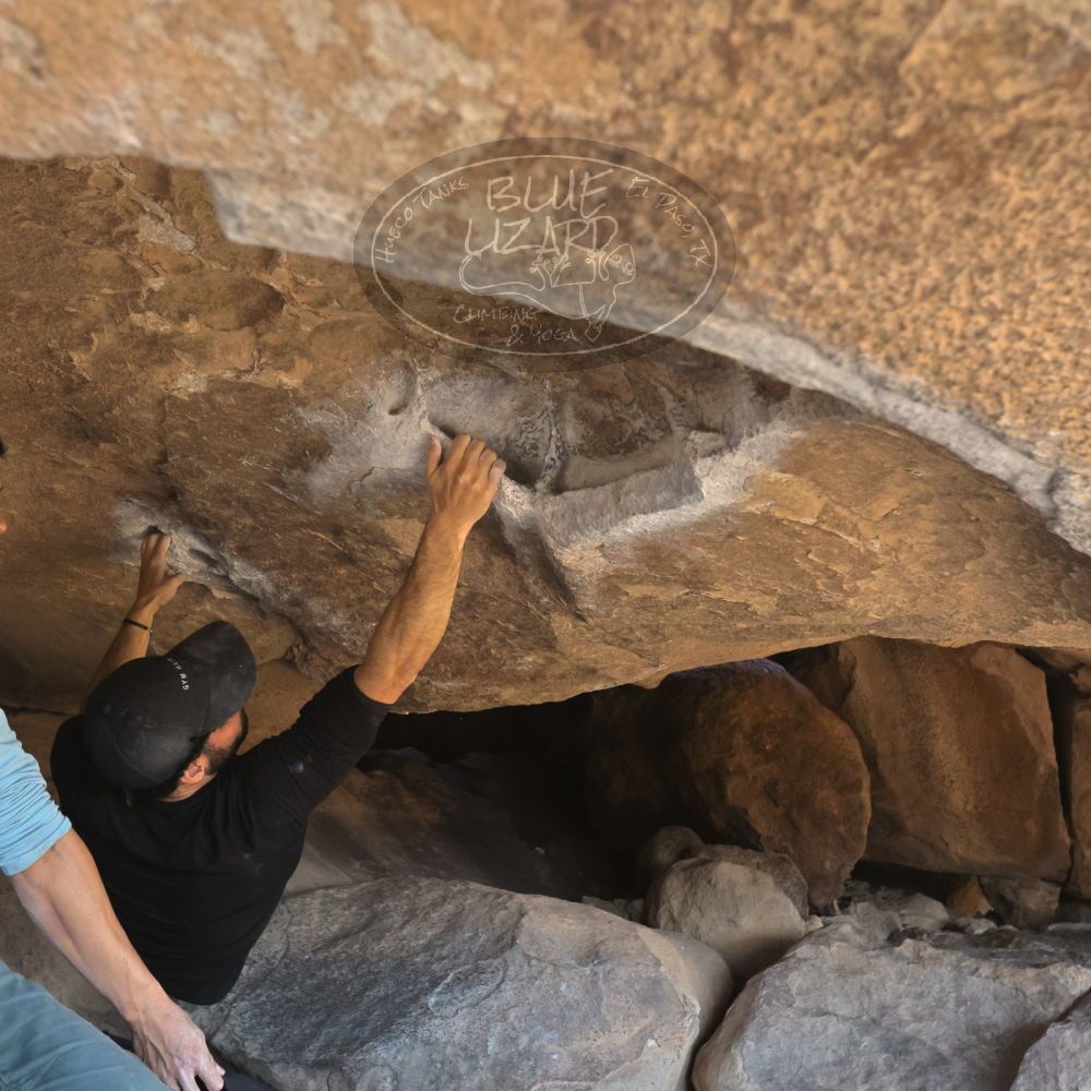 

Filename: SRM_20251110_1331160.jpg
Aperture: f/5.6
Shutter Speed: 1/500
Body: Canon EOS R6
Lens: Canon EF 16-35mm f/2.8 L