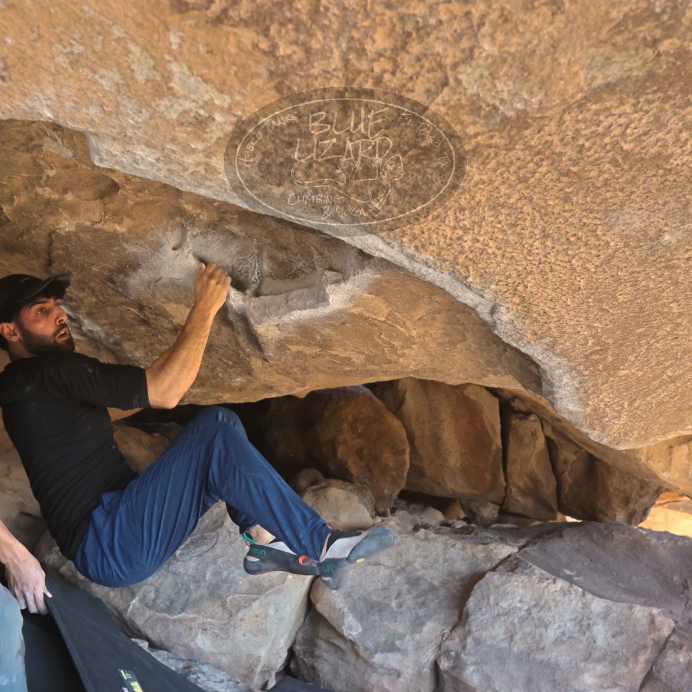 

Filename: SRM_20251110_1331190.jpg
Aperture: f/5.6
Shutter Speed: 1/500
Body: Canon EOS R6
Lens: Canon EF 16-35mm f/2.8 L