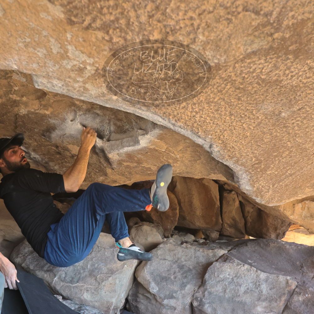 

Filename: SRM_20251110_1331191.jpg
Aperture: f/5.6
Shutter Speed: 1/500
Body: Canon EOS R6
Lens: Canon EF 16-35mm f/2.8 L