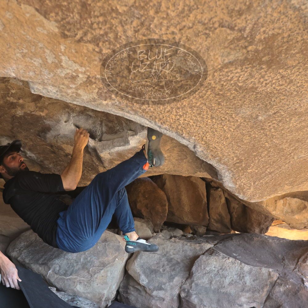 

Filename: SRM_20251110_1331192.jpg
Aperture: f/5.6
Shutter Speed: 1/500
Body: Canon EOS R6
Lens: Canon EF 16-35mm f/2.8 L