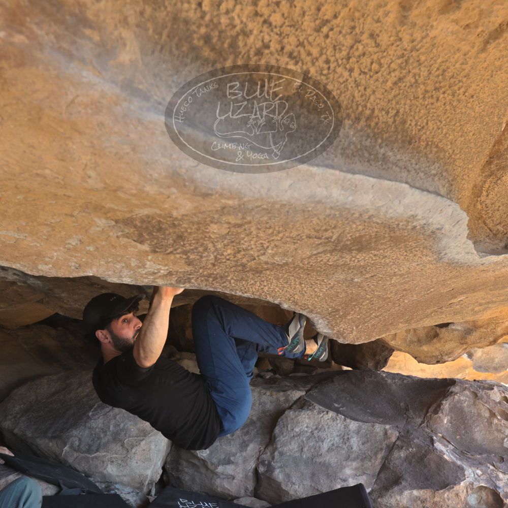 

Filename: SRM_20251110_1331270.jpg
Aperture: f/5.6
Shutter Speed: 1/500
Body: Canon EOS R6
Lens: Canon EF 16-35mm f/2.8 L