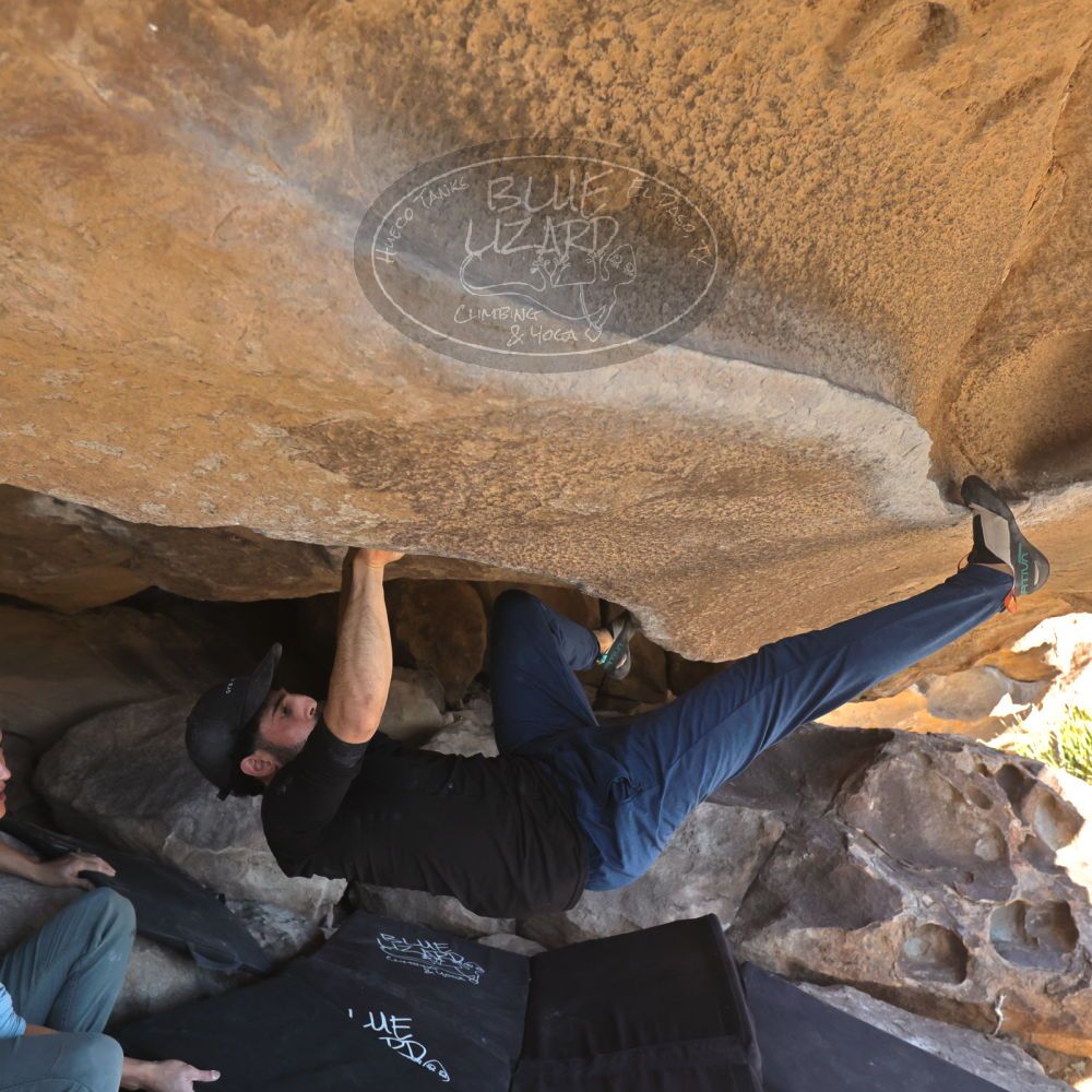 

Filename: SRM_20251110_1331330.jpg
Aperture: f/5.6
Shutter Speed: 1/500
Body: Canon EOS R6
Lens: Canon EF 16-35mm f/2.8 L