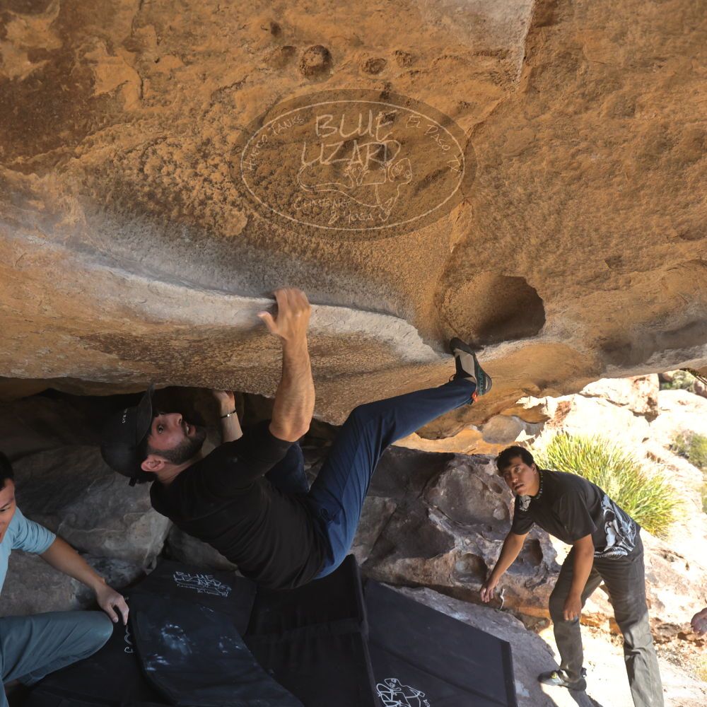 

Filename: SRM_20251110_1331380.jpg
Aperture: f/5.6
Shutter Speed: 1/500
Body: Canon EOS R6
Lens: Canon EF 16-35mm f/2.8 L