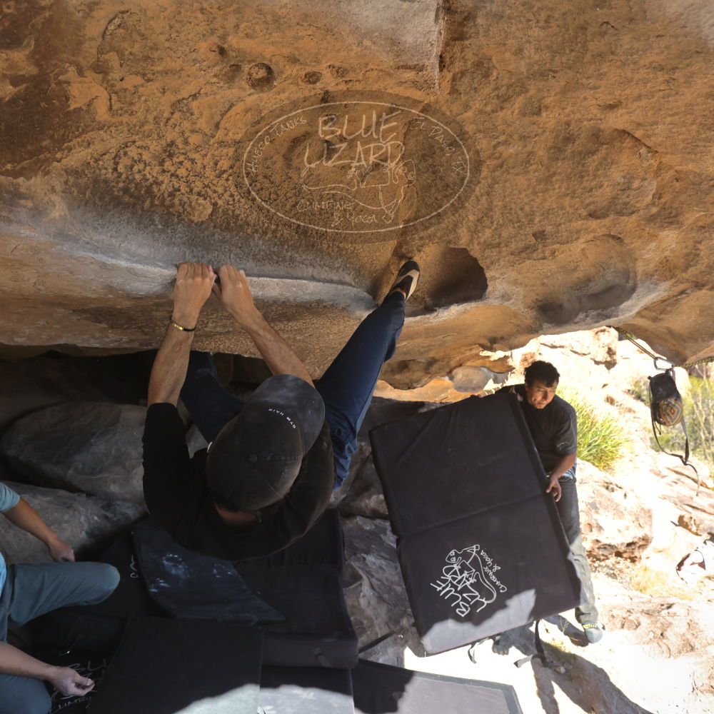 

Filename: SRM_20251110_1331510.jpg
Aperture: f/5.6
Shutter Speed: 1/500
Body: Canon EOS R6
Lens: Canon EF 16-35mm f/2.8 L