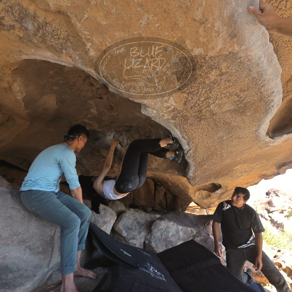 

Filename: SRM_20251110_1334300.jpg
Aperture: f/5.6
Shutter Speed: 1/500
Body: Canon EOS R6
Lens: Canon EF 16-35mm f/2.8 L