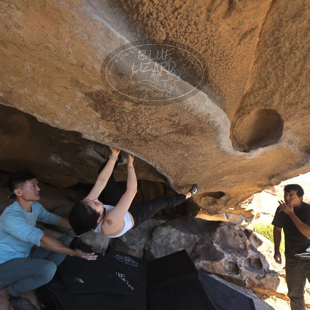 

Filename: SRM_20251110_1334450.jpg
Aperture: f/5.6
Shutter Speed: 1/500
Body: Canon EOS R6
Lens: Canon EF 16-35mm f/2.8 L