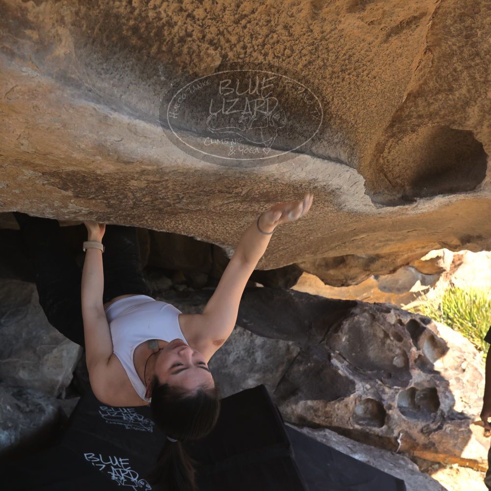 

Filename: SRM_20251110_1334560.jpg
Aperture: f/5.6
Shutter Speed: 1/500
Body: Canon EOS R6
Lens: Canon EF 16-35mm f/2.8 L