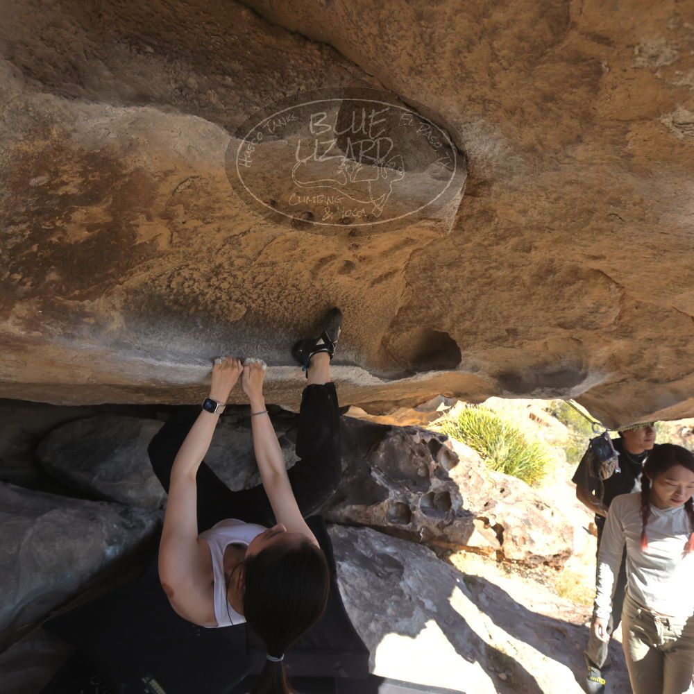 

Filename: SRM_20251110_1335090.jpg
Aperture: f/5.6
Shutter Speed: 1/500
Body: Canon EOS R6
Lens: Canon EF 16-35mm f/2.8 L