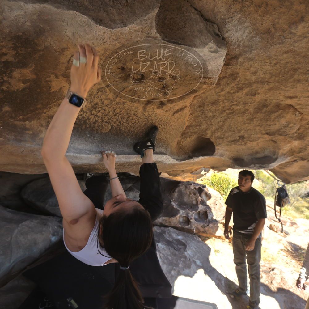 

Filename: SRM_20251110_1335160.jpg
Aperture: f/5.6
Shutter Speed: 1/500
Body: Canon EOS R6
Lens: Canon EF 16-35mm f/2.8 L