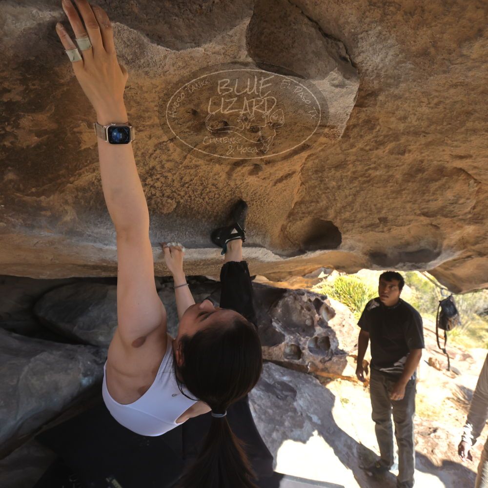 

Filename: SRM_20251110_1335170.jpg
Aperture: f/5.6
Shutter Speed: 1/500
Body: Canon EOS R6
Lens: Canon EF 16-35mm f/2.8 L