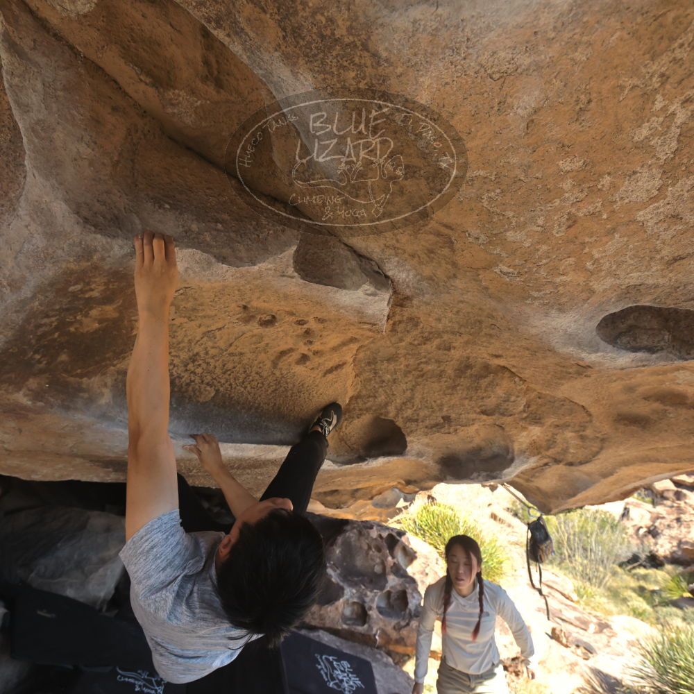 

Filename: SRM_20251110_1338380.jpg
Aperture: f/5.6
Shutter Speed: 1/500
Body: Canon EOS R6
Lens: Canon EF 16-35mm f/2.8 L