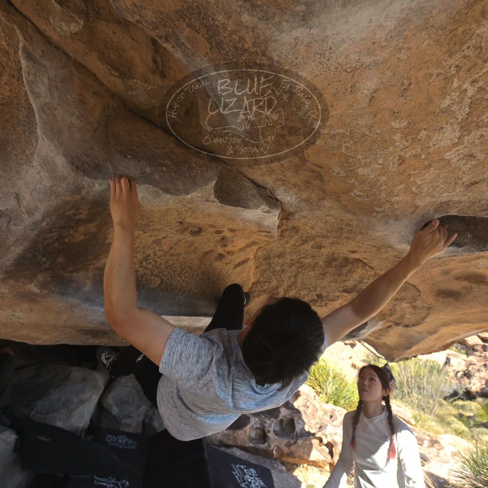 

Filename: SRM_20251110_1338400.jpg
Aperture: f/5.6
Shutter Speed: 1/500
Body: Canon EOS R6
Lens: Canon EF 16-35mm f/2.8 L