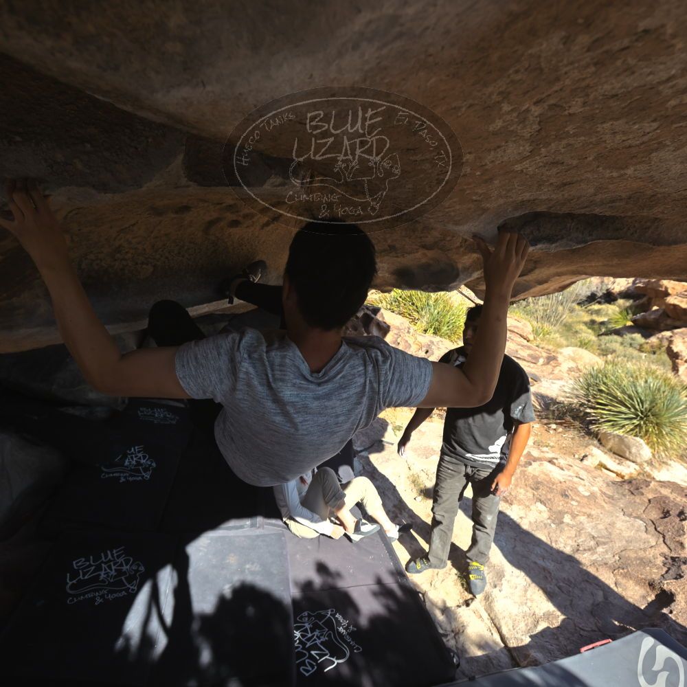 

Filename: SRM_20251110_1343070.jpg
Aperture: f/5.6
Shutter Speed: 1/500
Body: Canon EOS R6
Lens: Canon EF 16-35mm f/2.8 L