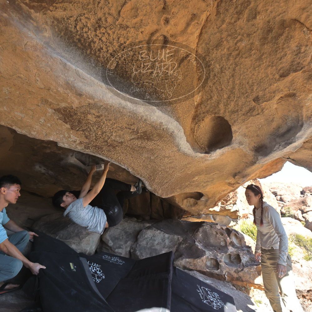 

Filename: SRM_20251110_1400330.jpg
Aperture: f/5.6
Shutter Speed: 1/500
Body: Canon EOS R6
Lens: Canon EF 16-35mm f/2.8 L