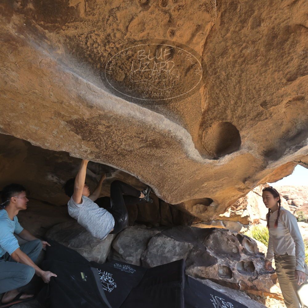 

Filename: SRM_20251110_1400350.jpg
Aperture: f/5.6
Shutter Speed: 1/500
Body: Canon EOS R6
Lens: Canon EF 16-35mm f/2.8 L