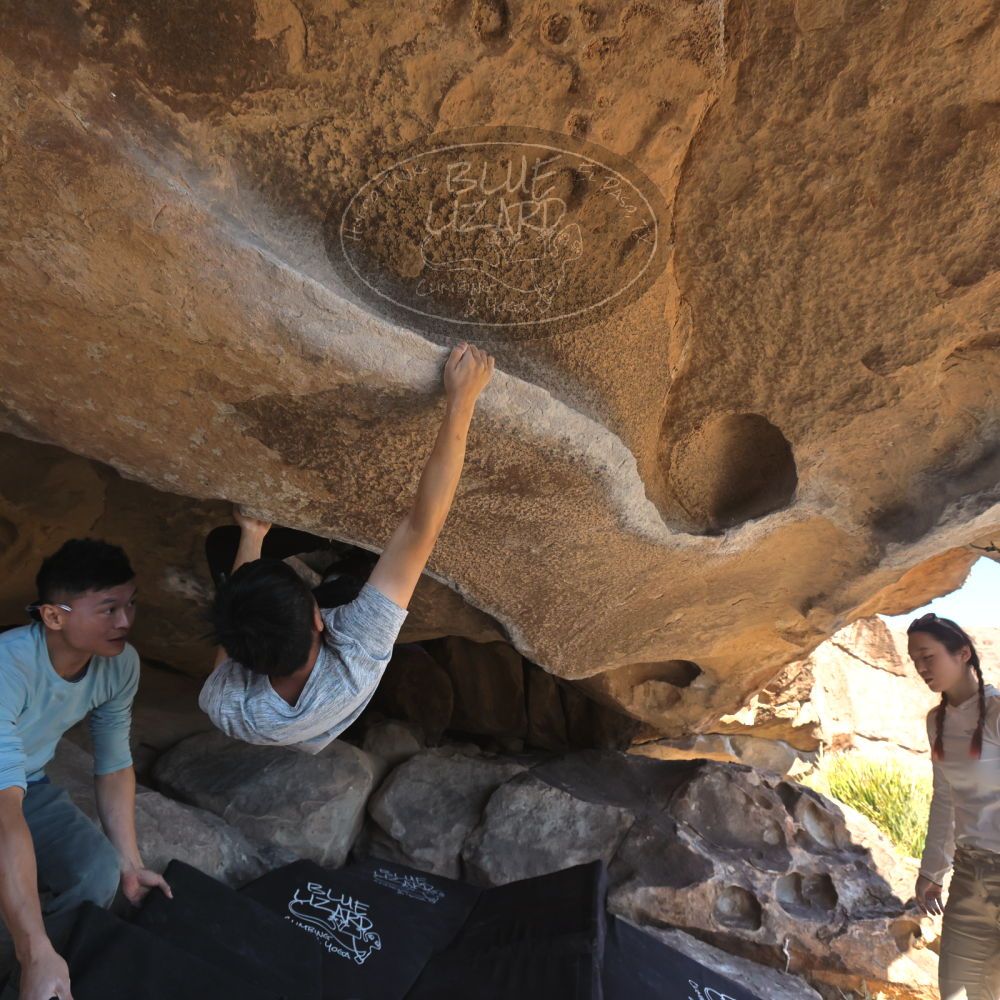 

Filename: SRM_20251110_1400470.jpg
Aperture: f/5.6
Shutter Speed: 1/500
Body: Canon EOS R6
Lens: Canon EF 16-35mm f/2.8 L