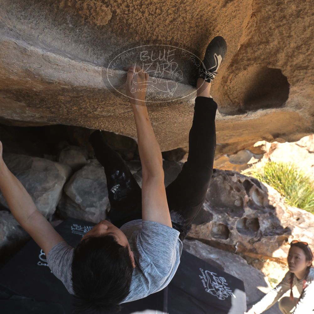 

Filename: SRM_20251110_1400510.jpg
Aperture: f/5.6
Shutter Speed: 1/500
Body: Canon EOS R6
Lens: Canon EF 16-35mm f/2.8 L