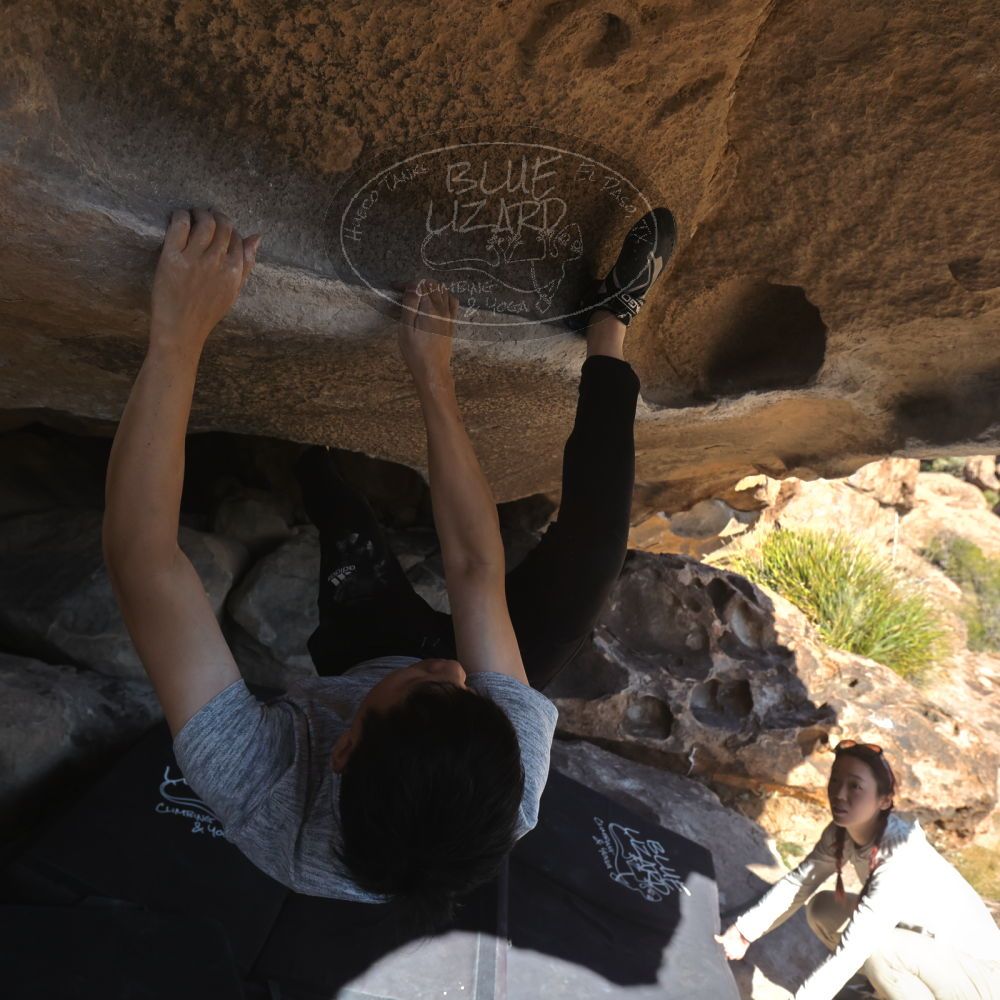 

Filename: SRM_20251110_1400511.jpg
Aperture: f/5.6
Shutter Speed: 1/500
Body: Canon EOS R6
Lens: Canon EF 16-35mm f/2.8 L