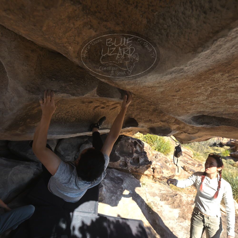 

Filename: SRM_20251110_1401080.jpg
Aperture: f/5.6
Shutter Speed: 1/500
Body: Canon EOS R6
Lens: Canon EF 16-35mm f/2.8 L