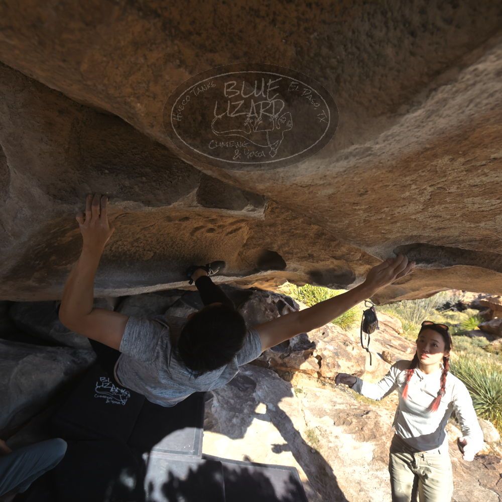 

Filename: SRM_20251110_1401090.jpg
Aperture: f/5.6
Shutter Speed: 1/500
Body: Canon EOS R6
Lens: Canon EF 16-35mm f/2.8 L