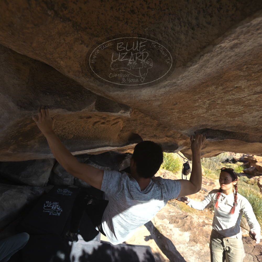 

Filename: SRM_20251110_1401110.jpg
Aperture: f/5.6
Shutter Speed: 1/500
Body: Canon EOS R6
Lens: Canon EF 16-35mm f/2.8 L