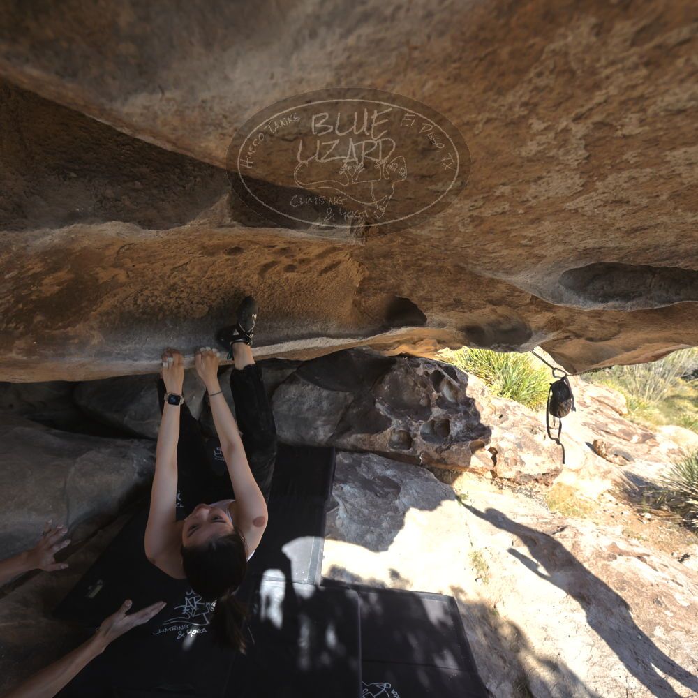 

Filename: SRM_20251110_1407350.jpg
Aperture: f/5.6
Shutter Speed: 1/500
Body: Canon EOS R6
Lens: Canon EF 16-35mm f/2.8 L