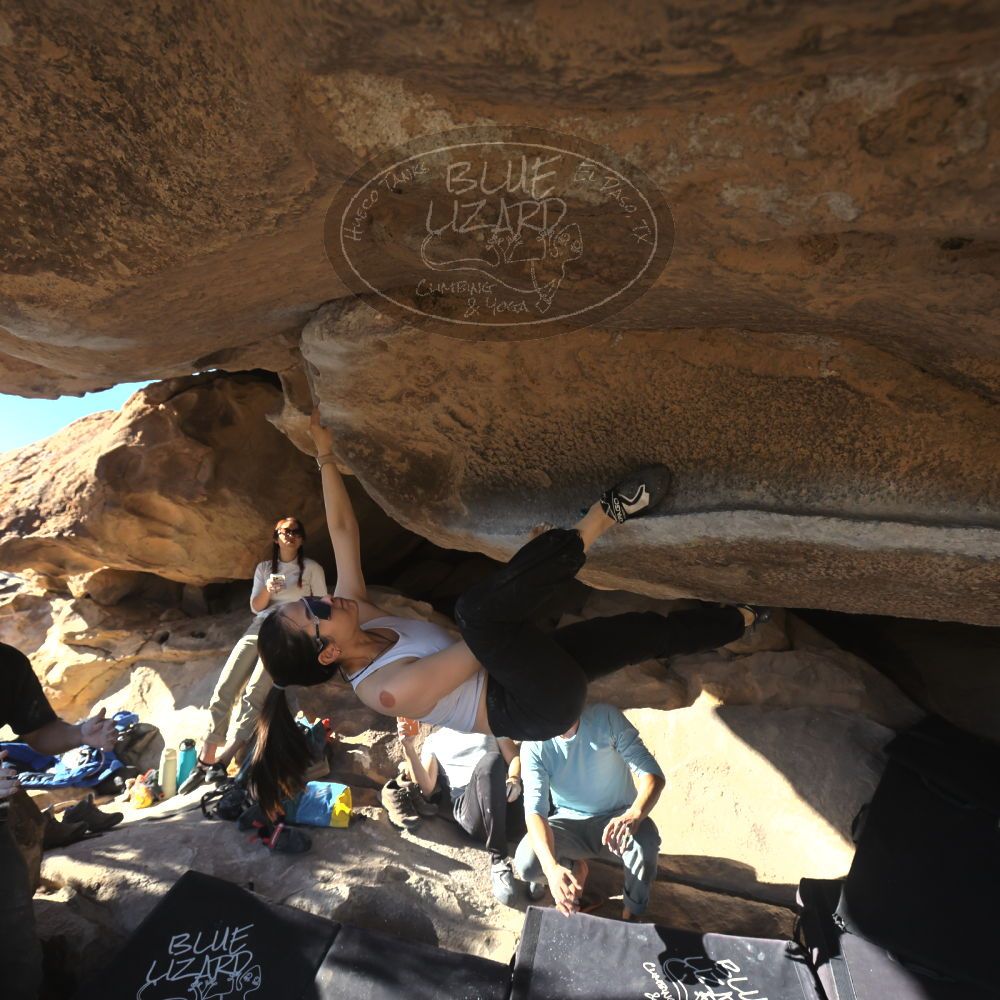 

Filename: SRM_20251110_1446340.jpg
Aperture: f/5.6
Shutter Speed: 1/500
Body: Canon EOS R6
Lens: Canon EF 16-35mm f/2.8 L