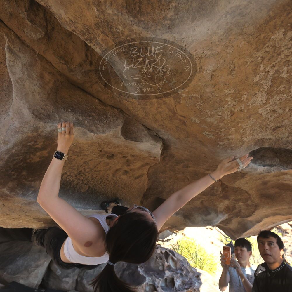 

Filename: SRM_20251110_1501410.jpg
Aperture: f/5.6
Shutter Speed: 1/640
Body: Canon EOS R6
Lens: Canon EF 16-35mm f/2.8 L