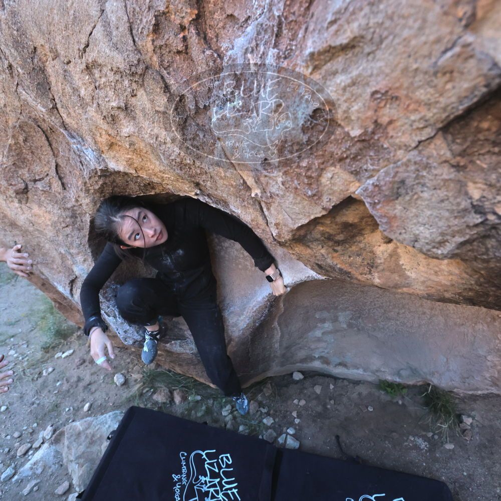 

Filename: SRM_20251110_1542170.jpg
Aperture: f/5.6
Shutter Speed: 1/500
Body: Canon EOS R6
Lens: Canon EF 16-35mm f/2.8 L