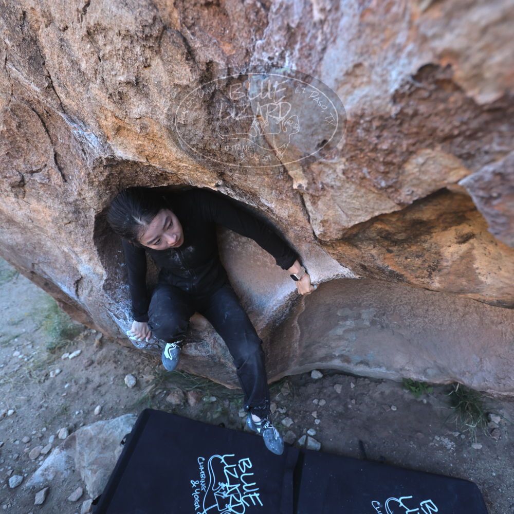 

Filename: SRM_20251110_1545570.jpg
Aperture: f/4.0
Shutter Speed: 1/500
Body: Canon EOS R6
Lens: Canon EF 16-35mm f/2.8 L