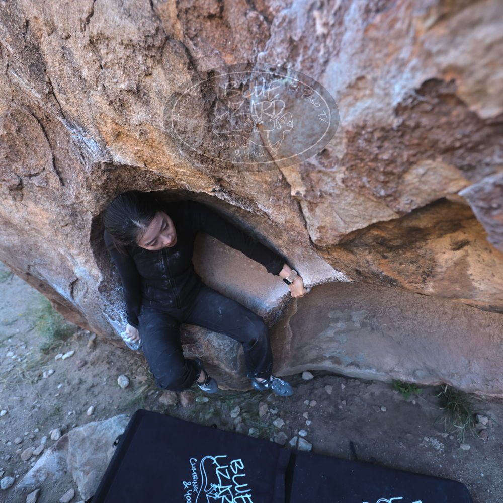 

Filename: SRM_20251110_1546010.jpg
Aperture: f/4.0
Shutter Speed: 1/400
Body: Canon EOS R6
Lens: Canon EF 16-35mm f/2.8 L