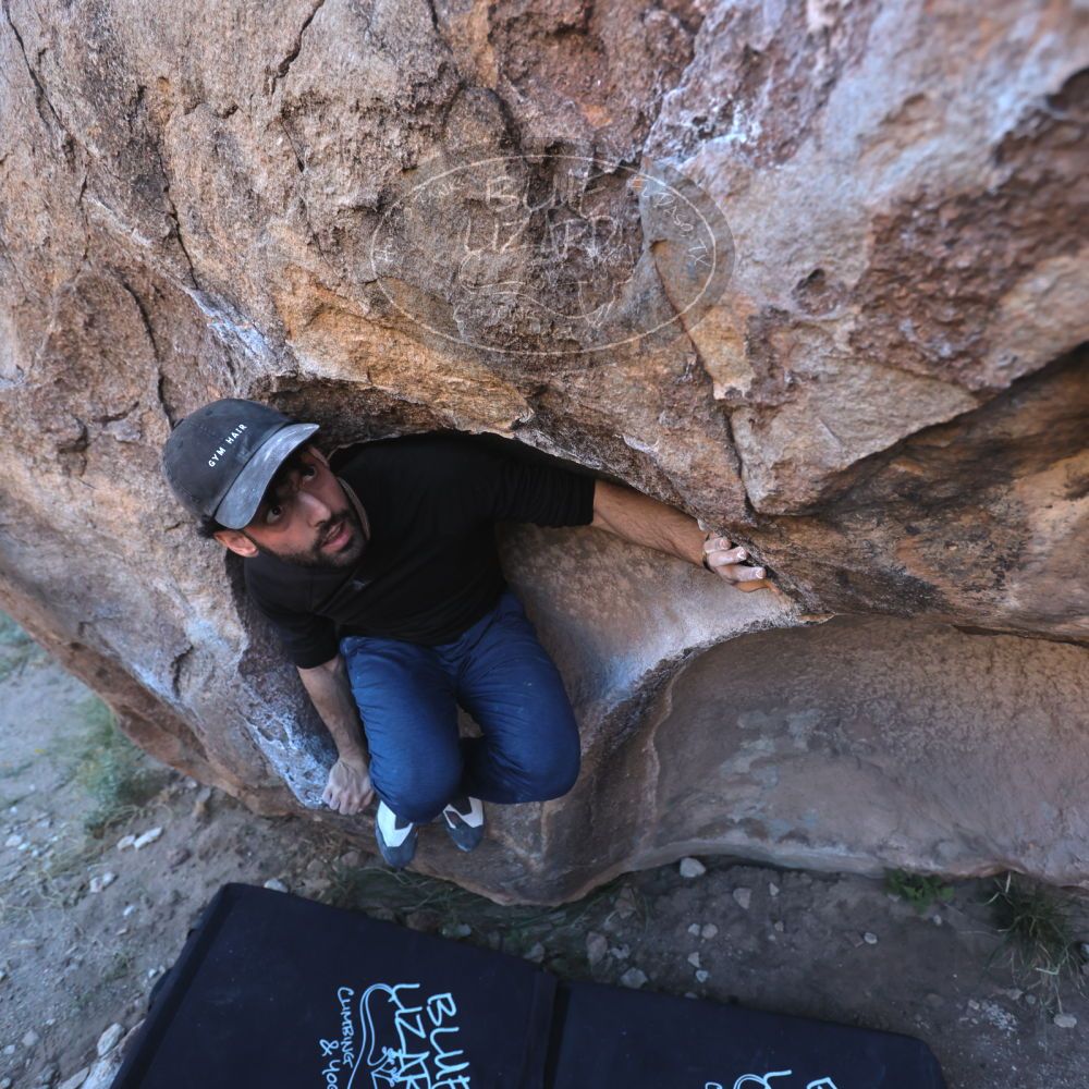 

Filename: SRM_20251110_1551160.jpg
Aperture: f/4.0
Shutter Speed: 1/500
Body: Canon EOS R6
Lens: Canon EF 16-35mm f/2.8 L