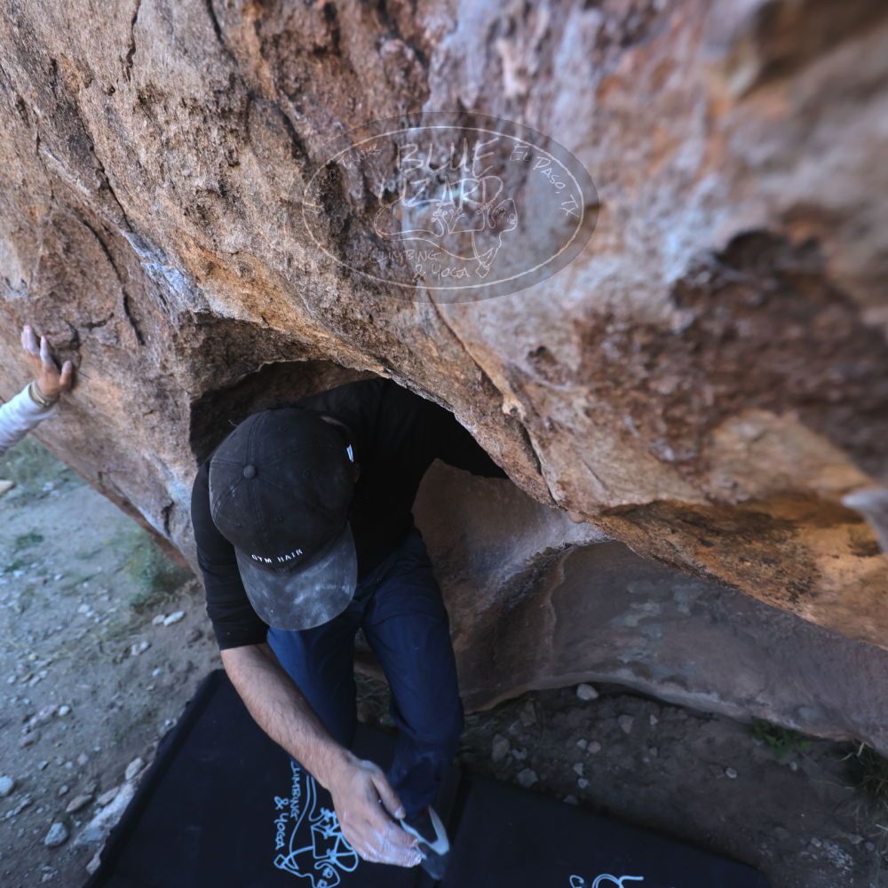 

Filename: SRM_20251110_1551260.jpg
Aperture: f/4.0
Shutter Speed: 1/500
Body: Canon EOS R6
Lens: Canon EF 16-35mm f/2.8 L