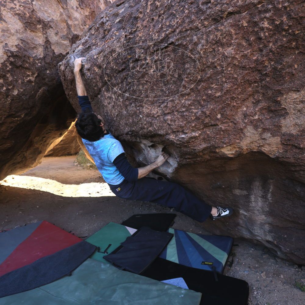 

Filename: SRM_20251124_1000181.jpg
Aperture: f/5.6
Shutter Speed: 1/500
Body: Canon EOS R6
Lens: Canon EF 16-35mm f/2.8 L