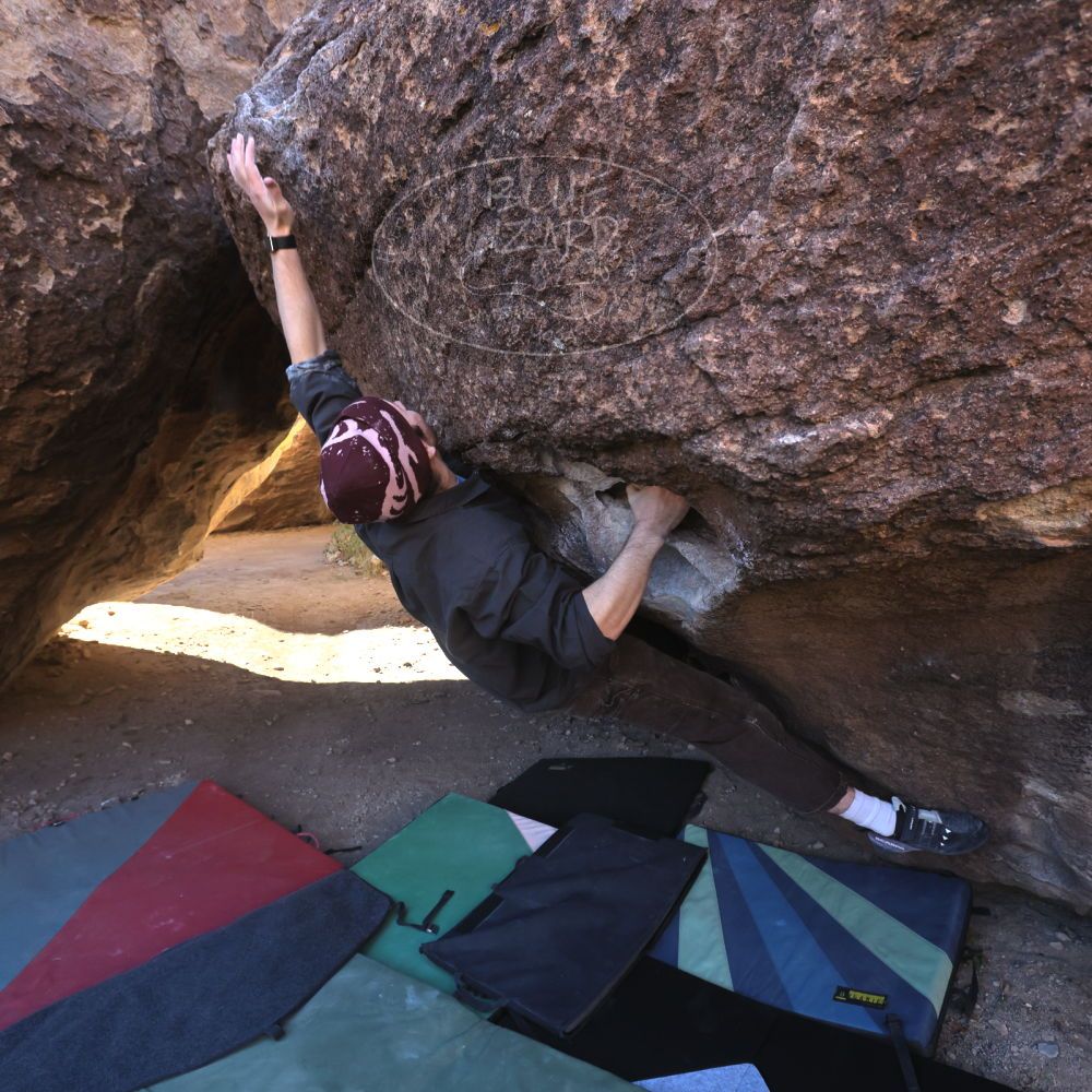 

Filename: SRM_20251124_1001110.jpg
Aperture: f/5.6
Shutter Speed: 1/500
Body: Canon EOS R6
Lens: Canon EF 16-35mm f/2.8 L