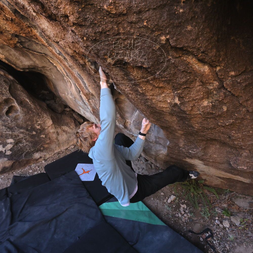 

Filename: SRM_20251124_1008340.jpg
Aperture: f/5.6
Shutter Speed: 1/500
Body: Canon EOS R6
Lens: Canon EF 16-35mm f/2.8 L