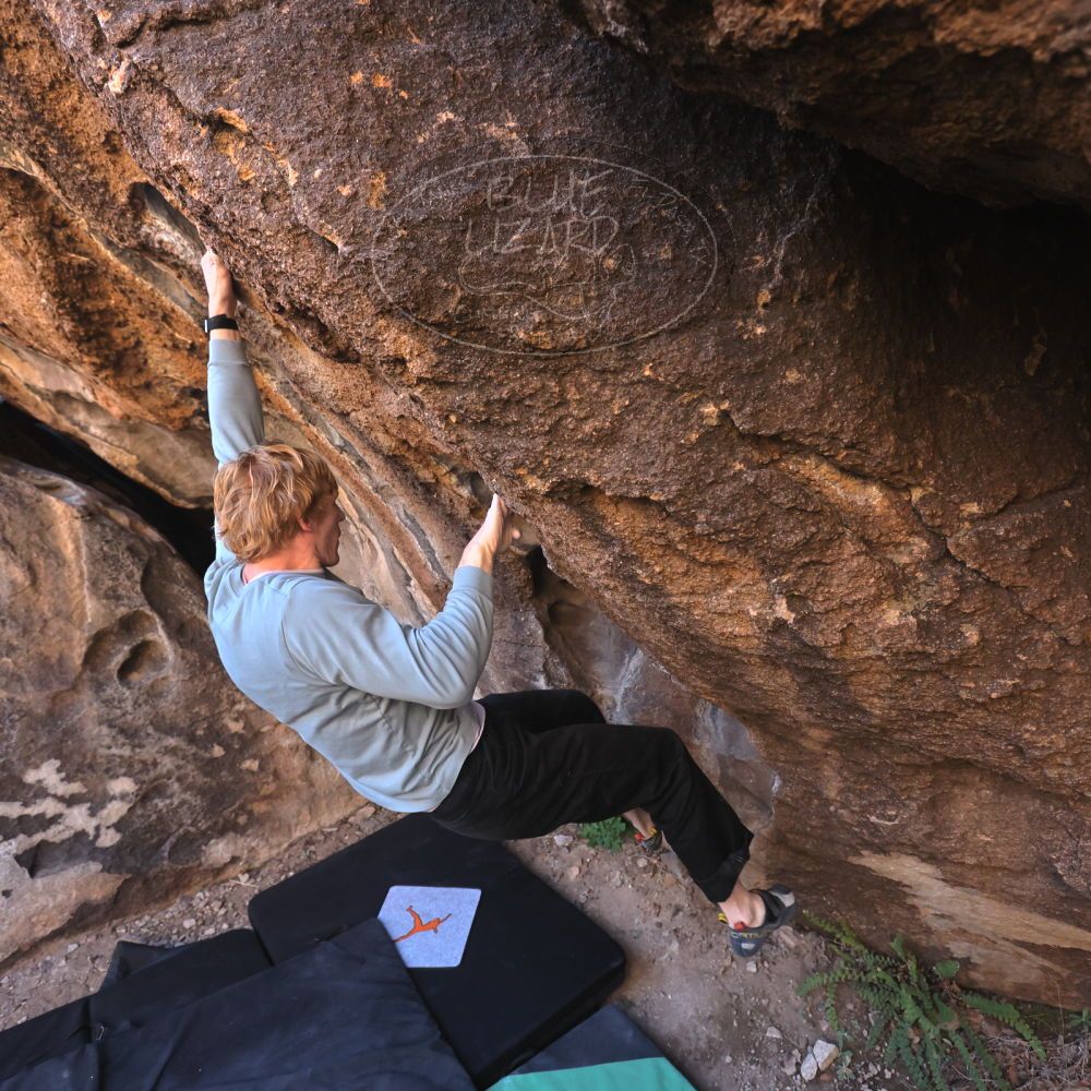 

Filename: SRM_20251124_1008360.jpg
Aperture: f/4.5
Shutter Speed: 1/500
Body: Canon EOS R6
Lens: Canon EF 16-35mm f/2.8 L