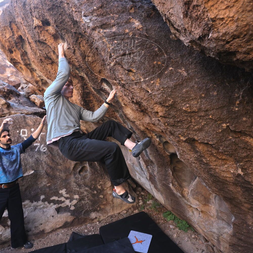 

Filename: SRM_20251124_1008410.jpg
Aperture: f/4.5
Shutter Speed: 1/500
Body: Canon EOS R6
Lens: Canon EF 16-35mm f/2.8 L