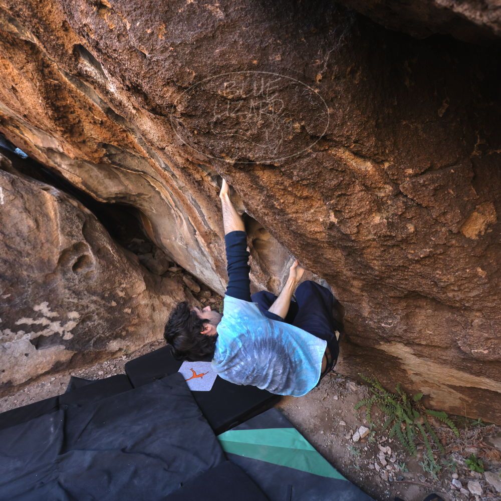 

Filename: SRM_20251124_1010520.jpg
Aperture: f/4.5
Shutter Speed: 1/500
Body: Canon EOS R6
Lens: Canon EF 16-35mm f/2.8 L