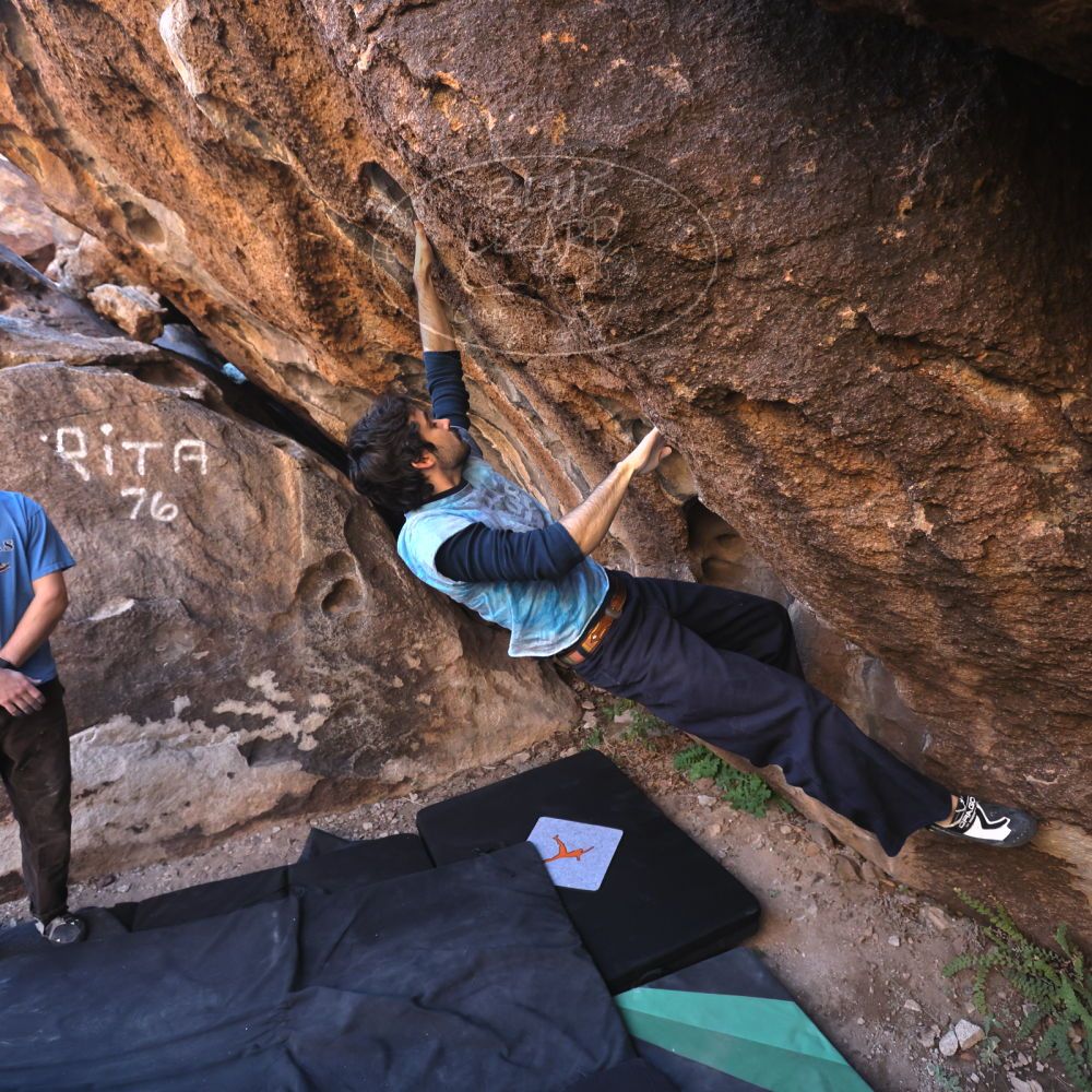 

Filename: SRM_20251124_1010560.jpg
Aperture: f/4.5
Shutter Speed: 1/500
Body: Canon EOS R6
Lens: Canon EF 16-35mm f/2.8 L