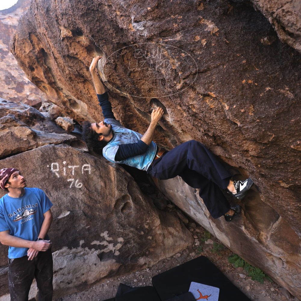 

Filename: SRM_20251124_1011040.jpg
Aperture: f/4.5
Shutter Speed: 1/500
Body: Canon EOS R6
Lens: Canon EF 16-35mm f/2.8 L