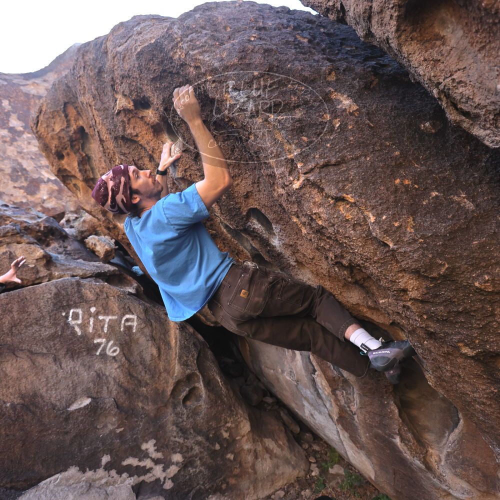 

Filename: SRM_20251124_1012390.jpg
Aperture: f/4.5
Shutter Speed: 1/500
Body: Canon EOS R6
Lens: Canon EF 16-35mm f/2.8 L