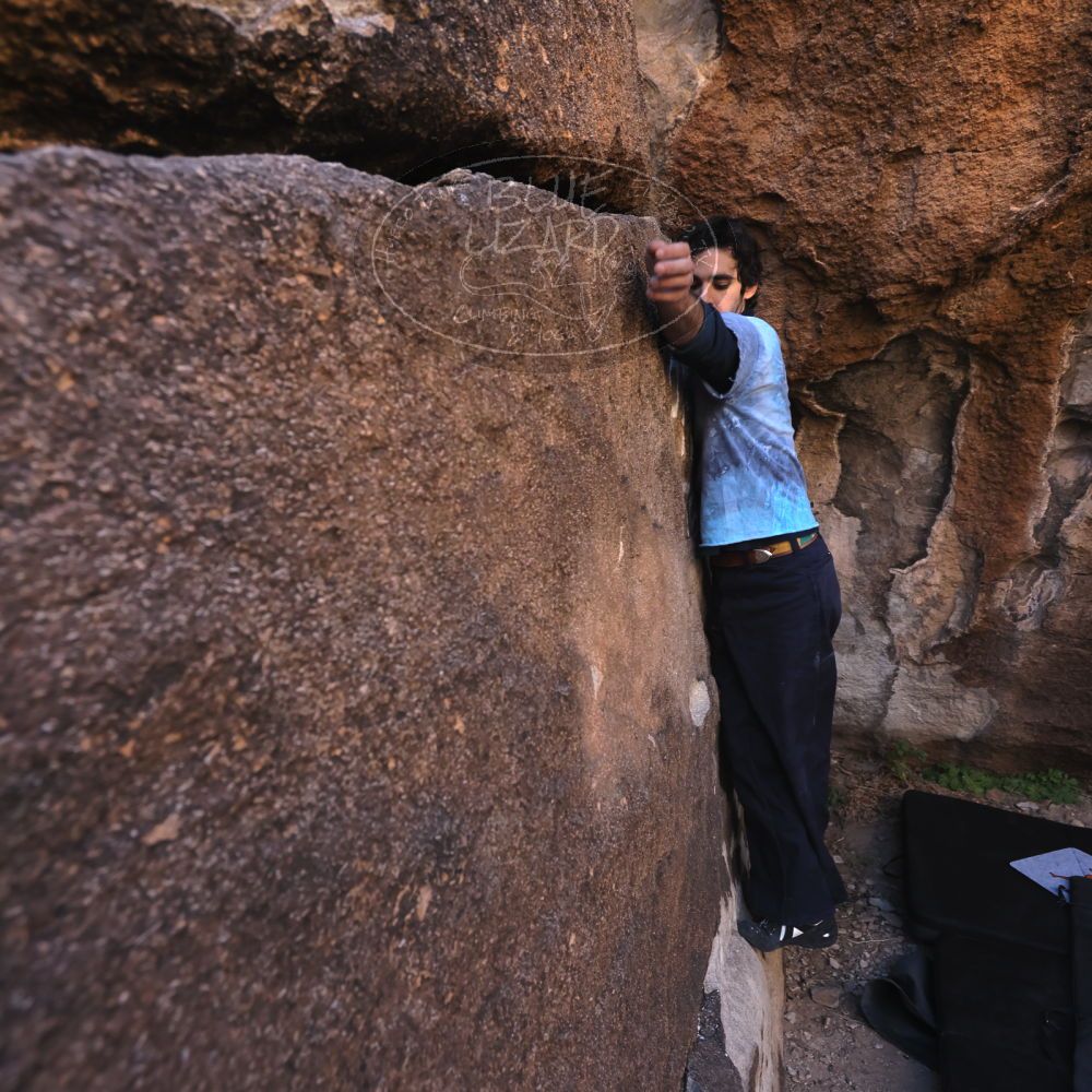 

Filename: SRM_20251124_1019420.jpg
Aperture: f/4.5
Shutter Speed: 1/500
Body: Canon EOS R6
Lens: Canon EF 16-35mm f/2.8 L