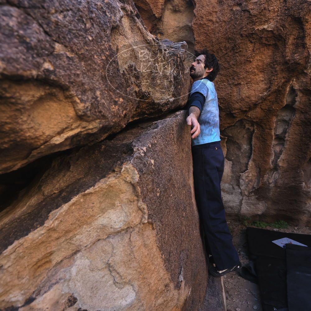 

Filename: SRM_20251124_1020430.jpg
Aperture: f/4.5
Shutter Speed: 1/500
Body: Canon EOS R6
Lens: Canon EF 16-35mm f/2.8 L