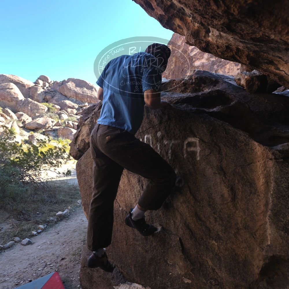 

Filename: SRM_20251124_1021220.jpg
Aperture: f/4.5
Shutter Speed: 1/500
Body: Canon EOS R6
Lens: Canon EF 16-35mm f/2.8 L