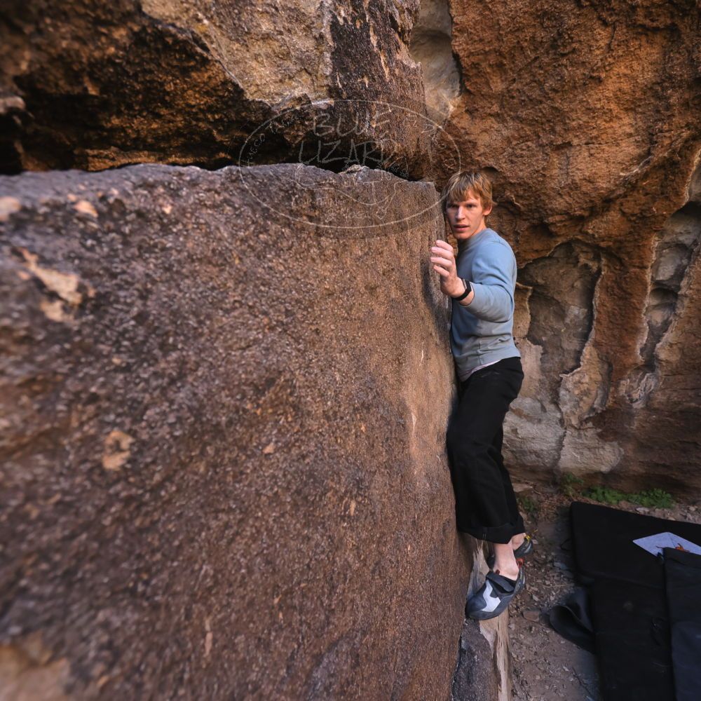 

Filename: SRM_20251124_1022150.jpg
Aperture: f/4.5
Shutter Speed: 1/500
Body: Canon EOS R6
Lens: Canon EF 16-35mm f/2.8 L